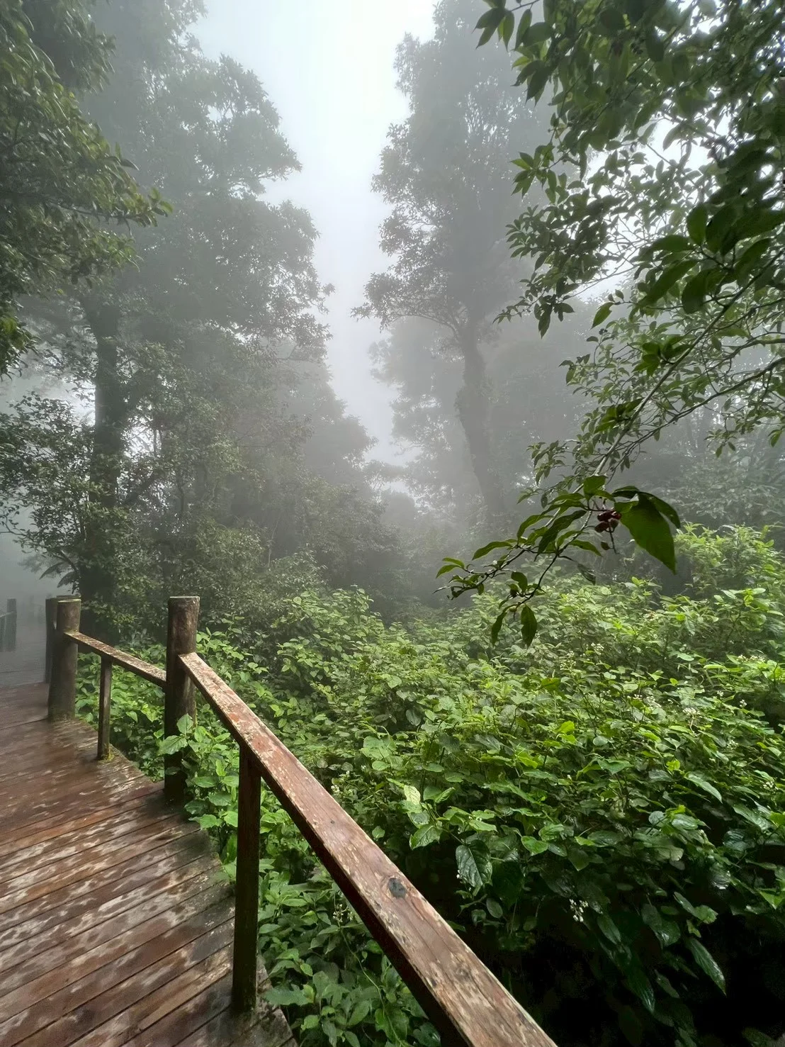 Магический Север, фото 12