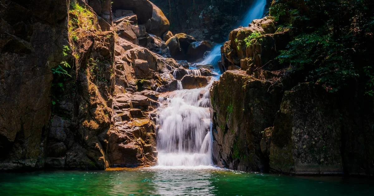 Сталкер, фото 3